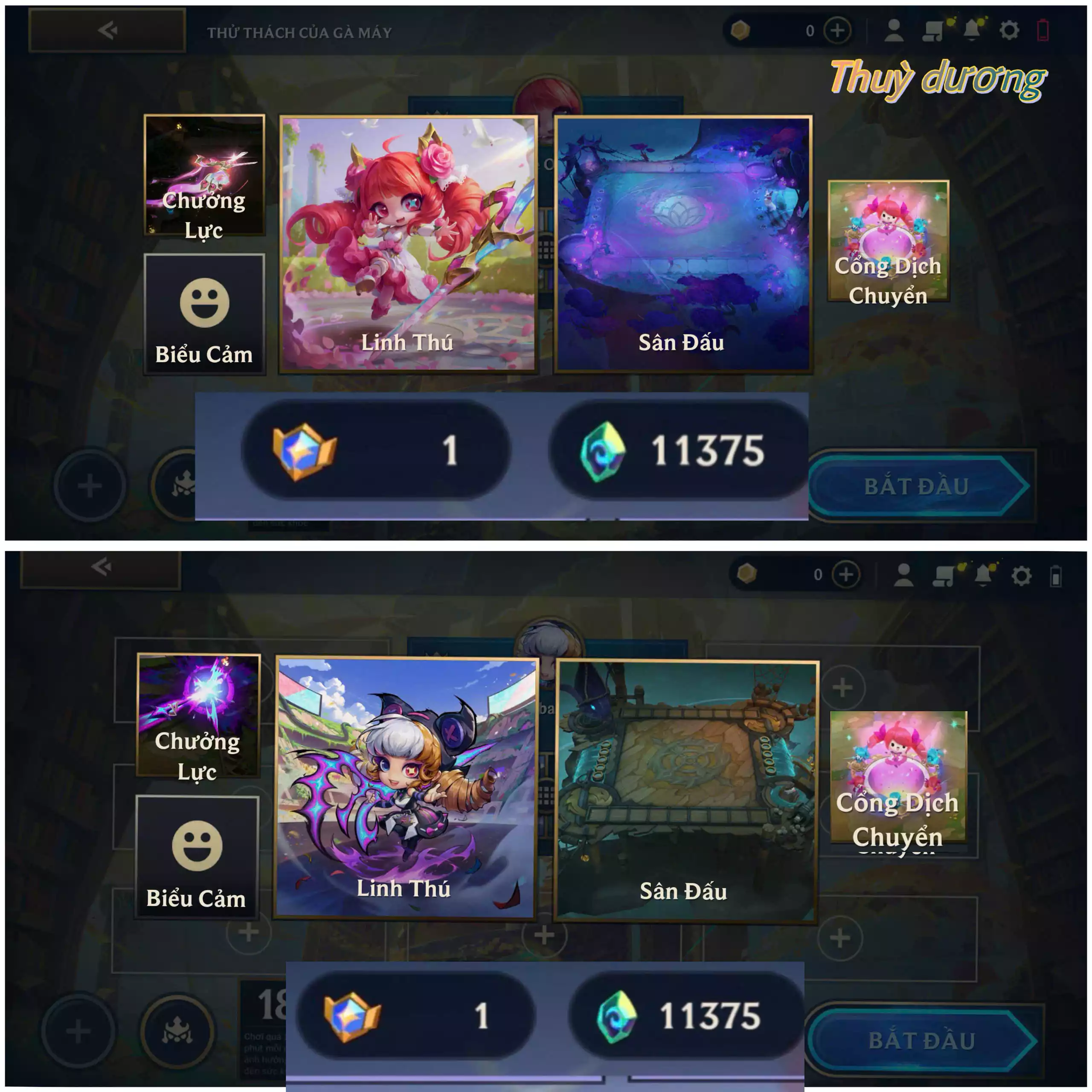 GWEN + CHƯỞNG + CỔNG TÍM ( 10K PHA LÊ )  1 TRONG 2