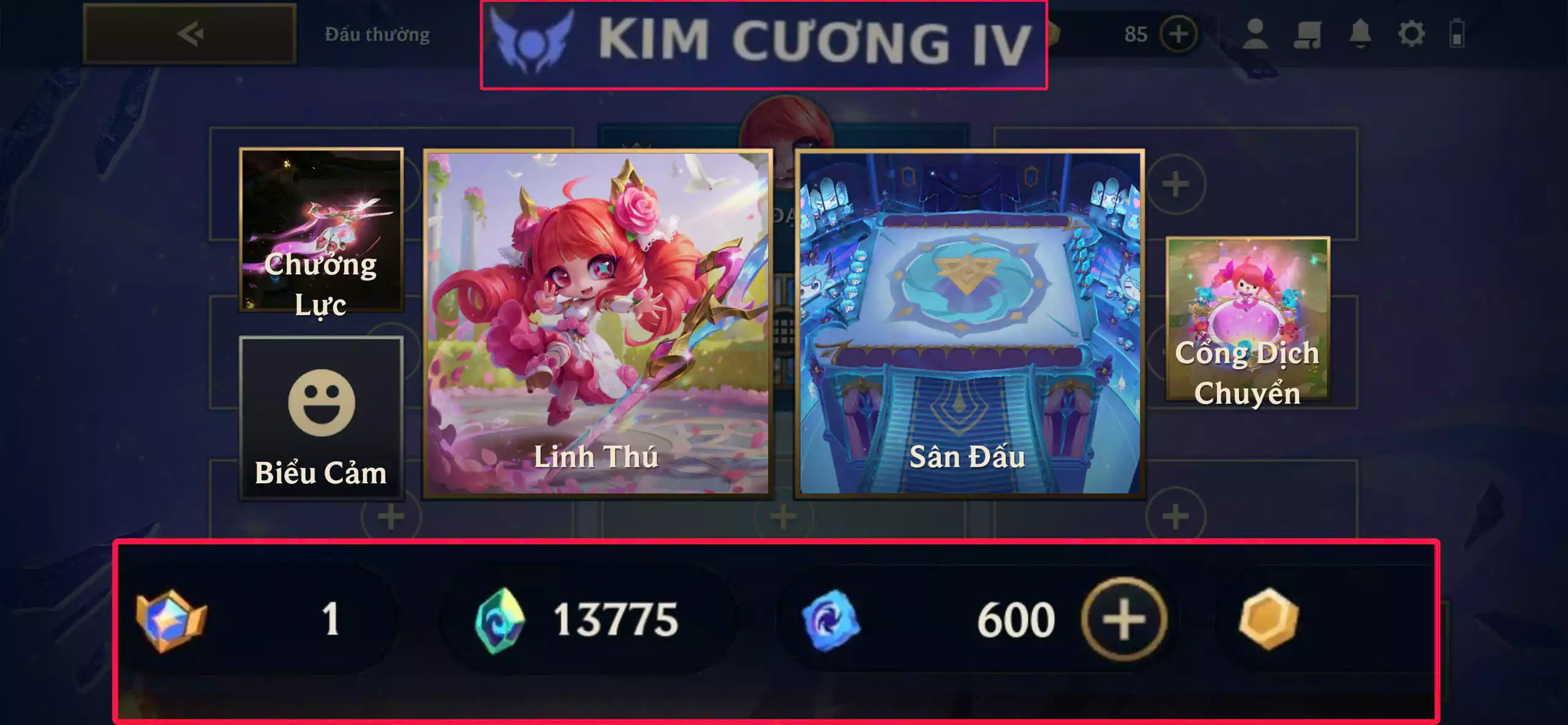 Full combo gwen hồng