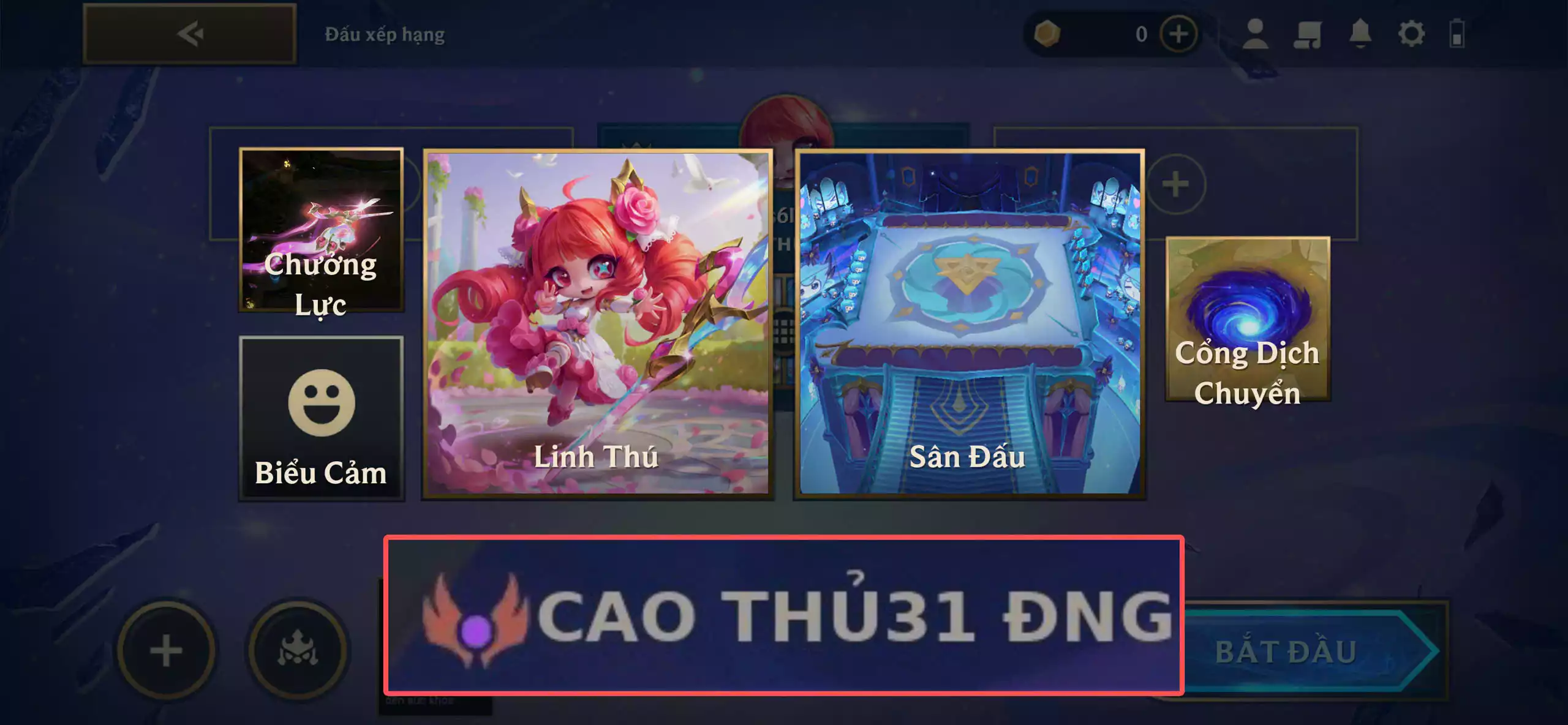 Combo gwen hoa hồng