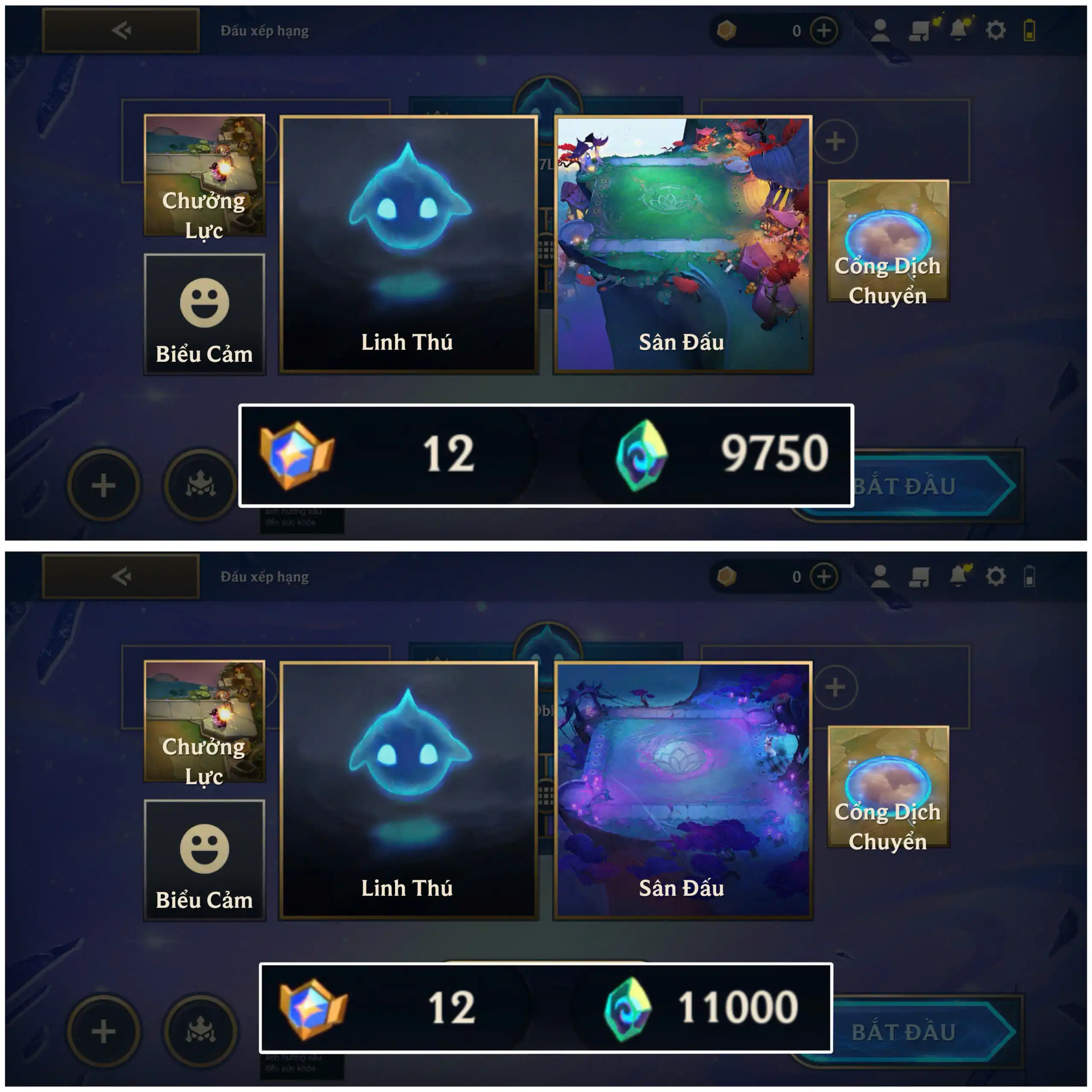 12 huy hiệu